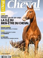 Cheval Magazine